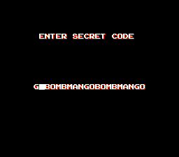 Enhanced NES Bad Password